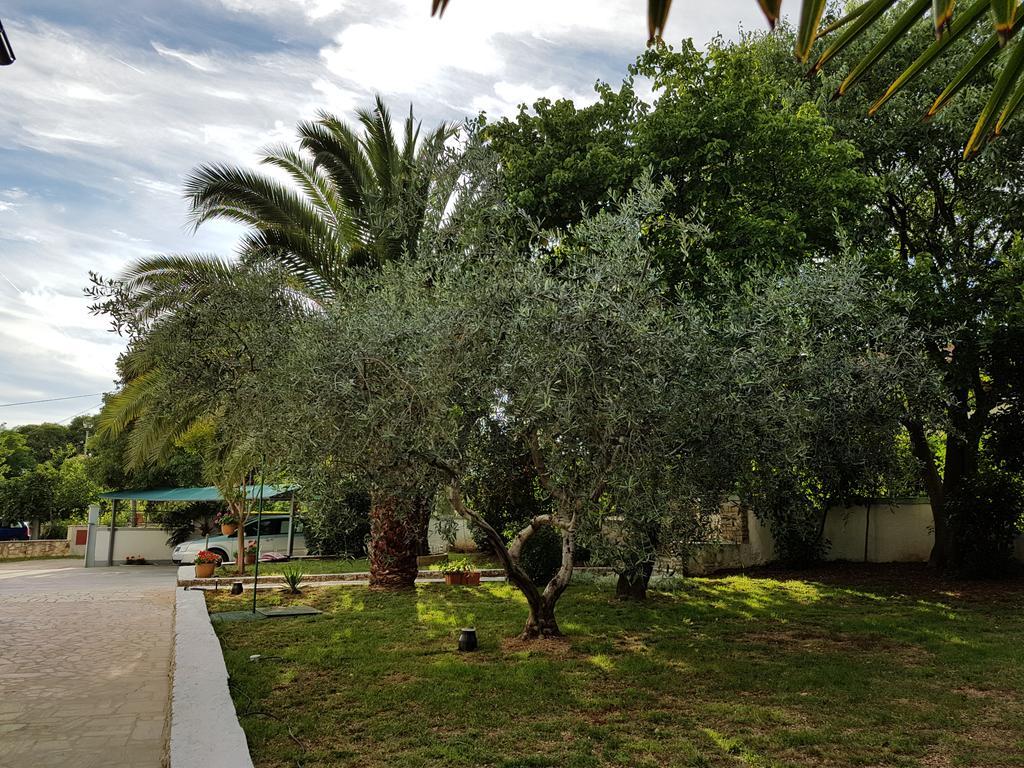 Villa Rosa With Yard And Children'S Playground Tar-Vabriga Exteriér fotografie